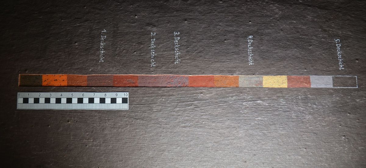 Mikroskopischer Querschnitt